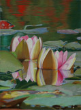 Bild: Lilypond